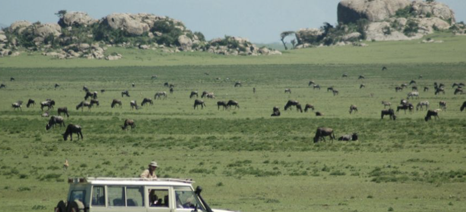 Serengeti National Park, Tanzania