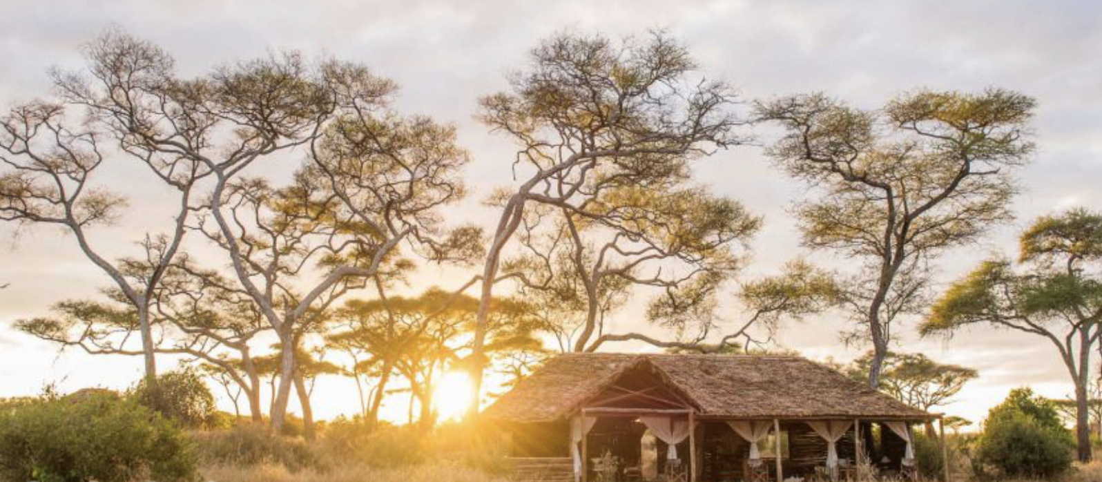 Tarangire, Tanzania