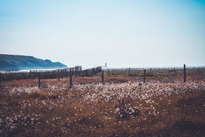 destination-scandinavia-sight-01.jpg